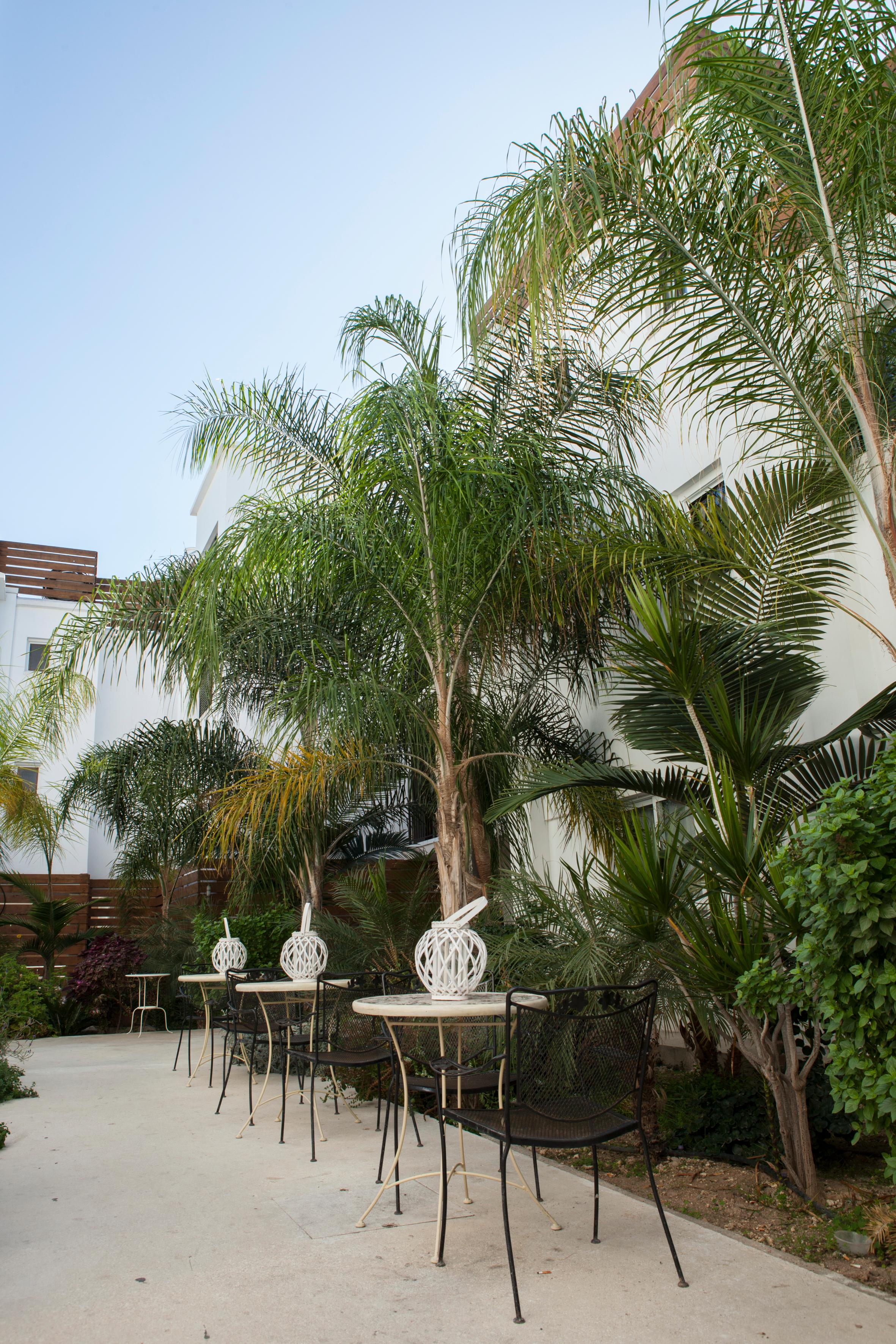 Alecos Hotel Apartments Paphos Eksteriør bilde