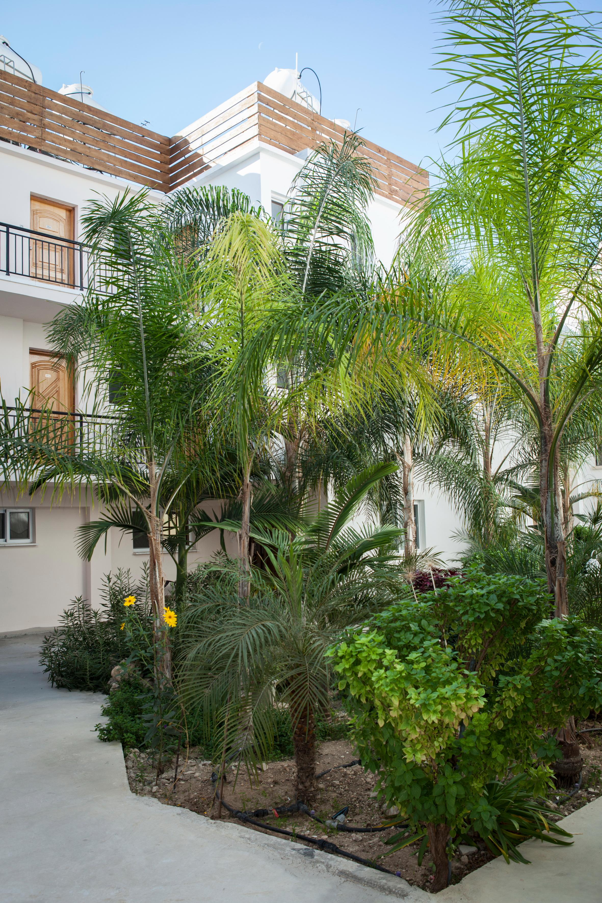 Alecos Hotel Apartments Paphos Eksteriør bilde