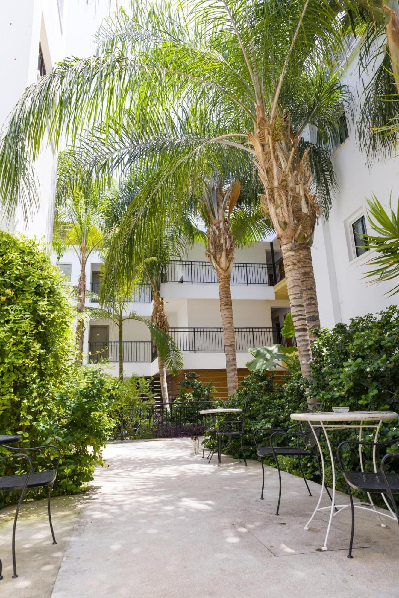 Alecos Hotel Apartments Paphos Eksteriør bilde