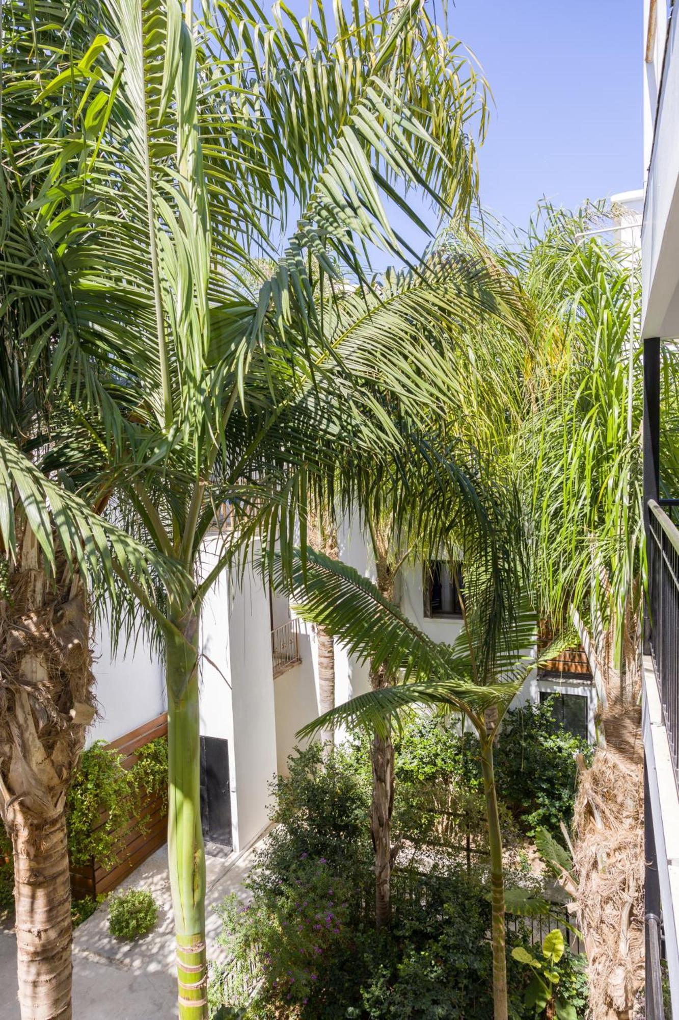 Alecos Hotel Apartments Paphos Eksteriør bilde